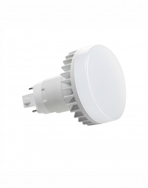 12W Type A PL Lamp Vertical